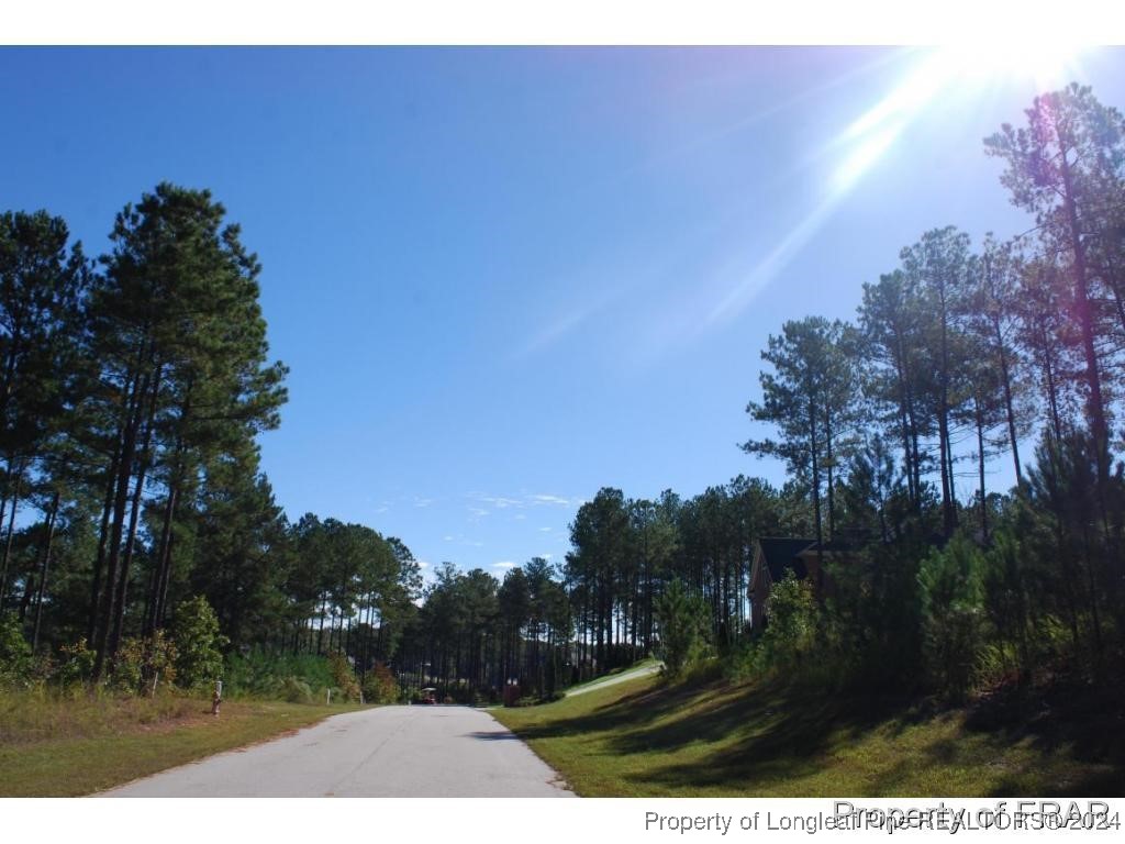 132 Broadlake (634) Lane