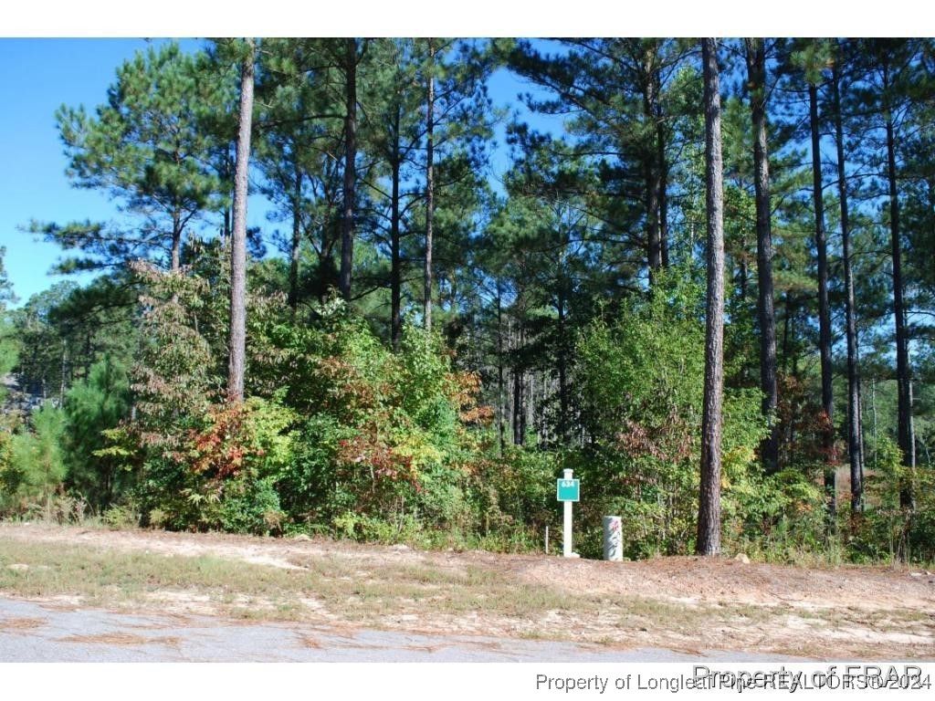 Photo of 132 Broadlake (634) Lane, Spring Lake, NC 28390 (MLS # 734178)