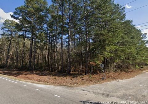 Photo of 0 Pine Log Road, Lumberton, NC 28384 (MLS # 766323)