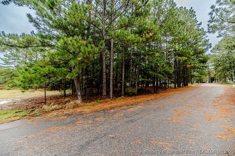 Tiny photo for 200 Lotus Lane, Sanford, NC 27332 (MLS # 751829)