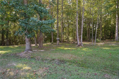 Tiny photo for 3518 Cemetery Road, Sanford, NC 27332 (MLS # 770276)
