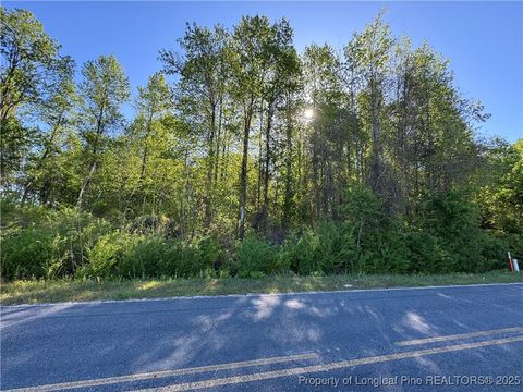 McBryde Mill Road Red Springs NC 28377