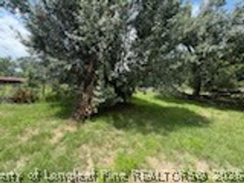 Tiny photo for 4199 Munsey Road, Fayetteville, NC 28306 (MLS # 765367)