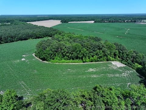 Photo of TBD NC Hwy 71 Highway, Red Springs, NC 28377 (MLS # 754310)