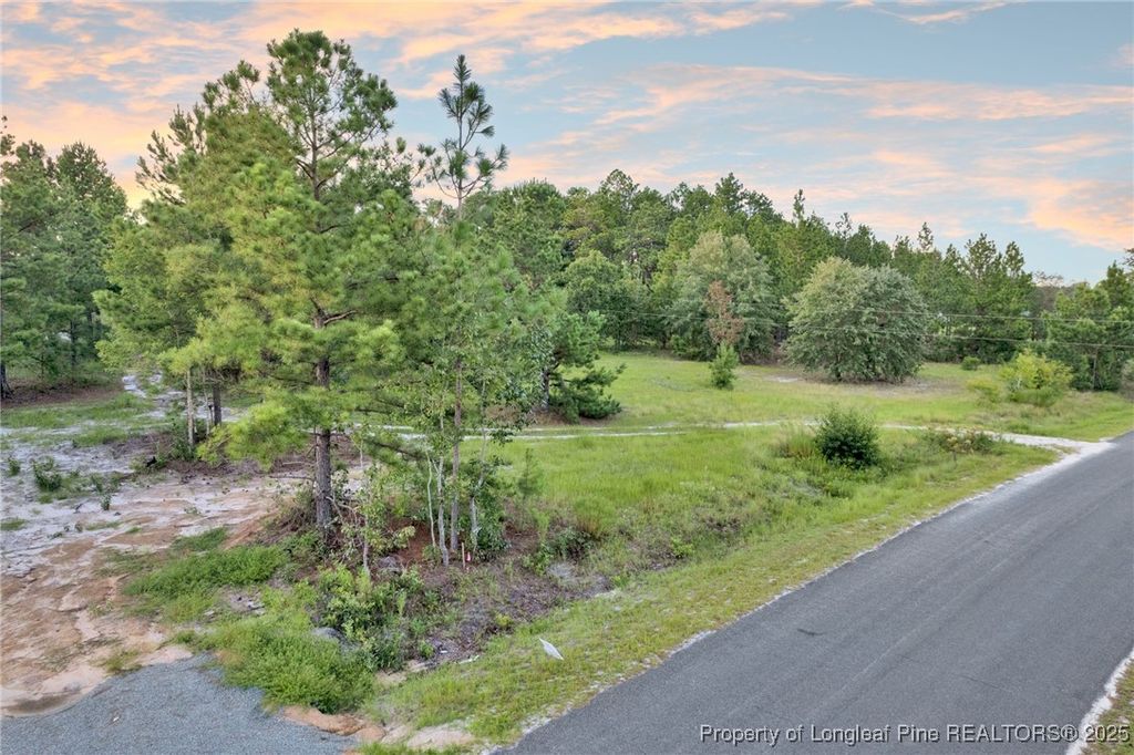 Photo of 234 Brower Road, Cameron, NC 28326 (MLS # 748213)