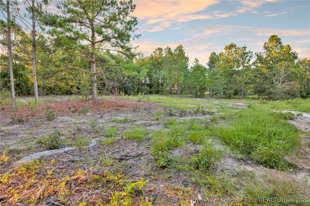 Photo of 234 Brower Road, Cameron, NC 28326 (MLS # 748213)