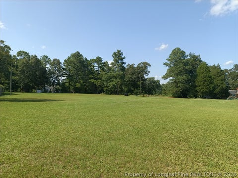 Tiny photo for 112 Lakeview Drive, Red Springs, NC 28377 (MLS # 766850)