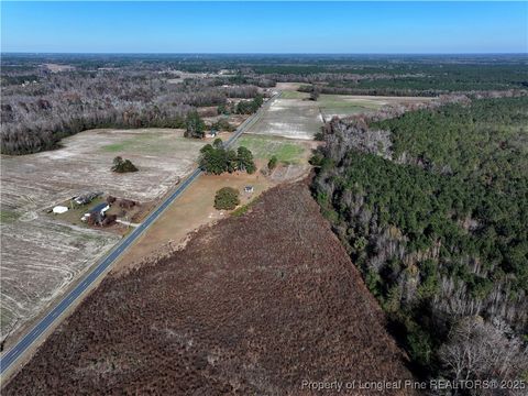 Tiny photo for Wire Grass Road, Orrum, NC 28369 (MLS # 753954)