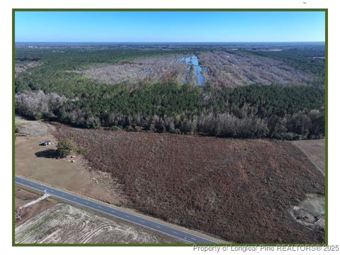 Tiny photo for Wire Grass Road, Orrum, NC 28369 (MLS # 753954)