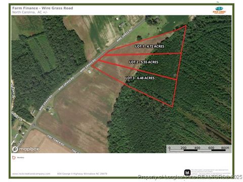 Tiny photo for Wire Grass Road, Orrum, NC 28369 (MLS # 753954)