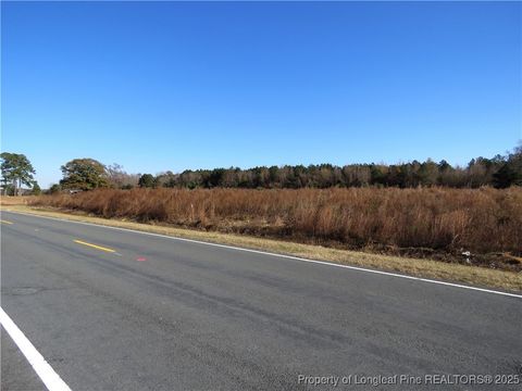 Tiny photo for Wire Grass Road, Orrum, NC 28369 (MLS # 753954)