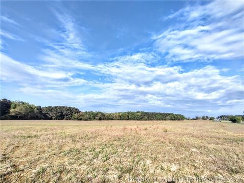 Photo of 0 Tramway Rd / Hwy 78, Sanford, NC 27330 (MLS # 760180)