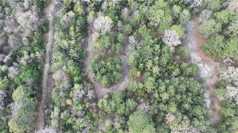 Tiny photo for 1135 Shaw Road, Fayetteville, NC 28311 (MLS # 759287)