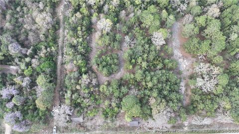 Tiny photo for 1135 Shaw Road, Fayetteville, NC 28311 (MLS # 759287)