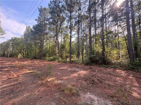 Tiny photo for S Plank Road, Sanford, NC 27330 (MLS # 767704)