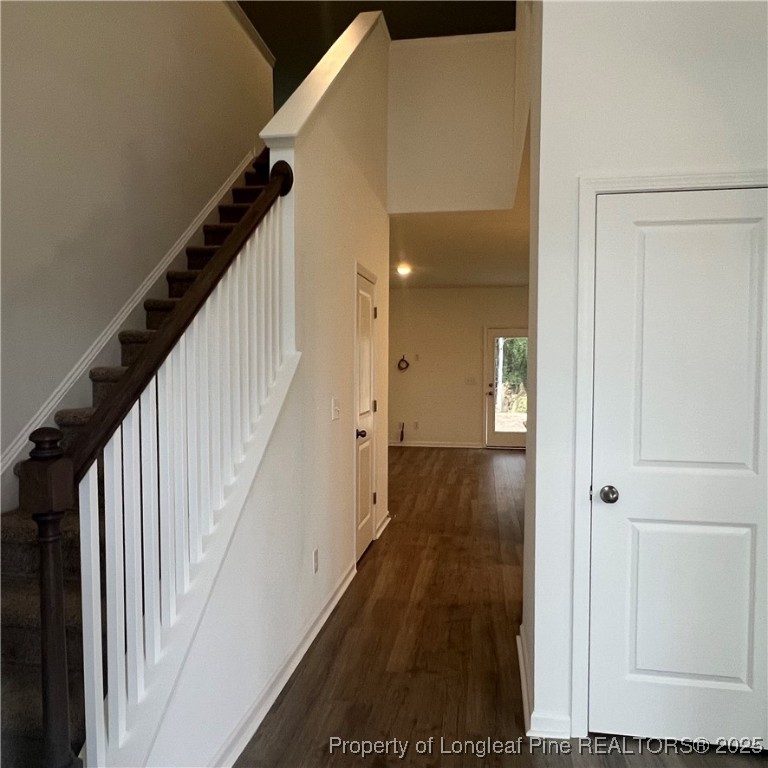 2047 Secluded Dell, Homesite 5