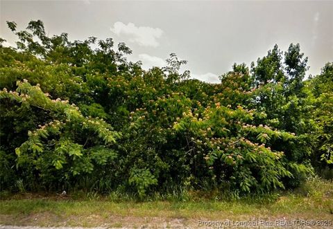 Tiny photo for tbd S Robeson Road, Rowland, NC 28383 (MLS # 753612)