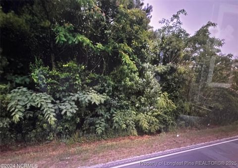 Tiny photo for tbd S Robeson Road, Rowland, NC 28383 (MLS # 753612)