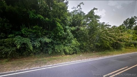 Tiny photo for tbd S Robeson Road, Rowland, NC 28383 (MLS # 753612)