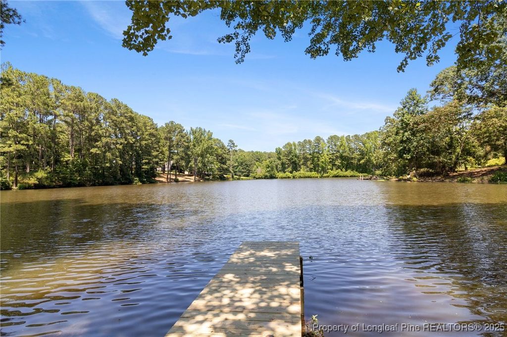 Photo of 185 Tree Cutters, Sanford, NC 27332 (MLS # 752248)