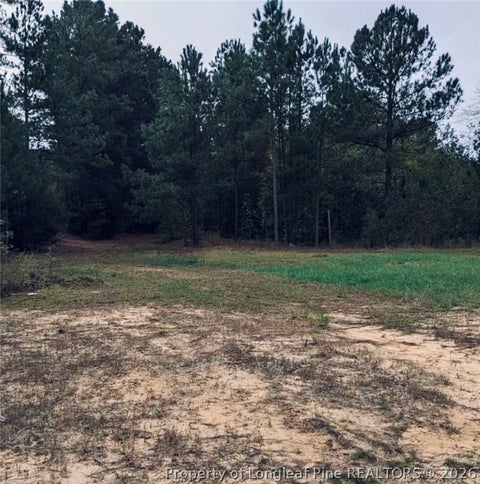 Photo of East Governor Brandon Street, Spring Lake, NC 28390 (MLS # 769959)
