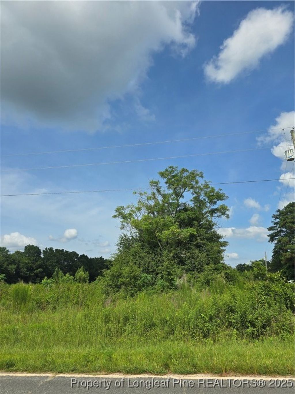 Photo of Walter Gibson Road, Raeford, NC 28376 (MLS # 747626)