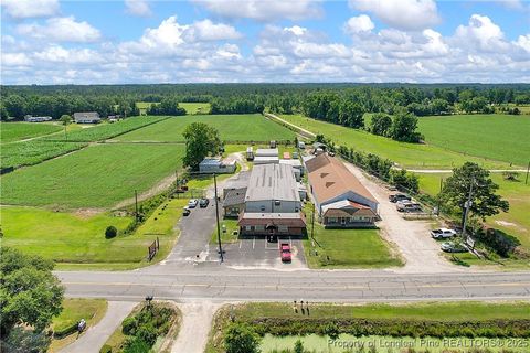 Tiny photo for 4659 Cabinet Shop Road, Rowland, NC 28383 (MLS # 744867)