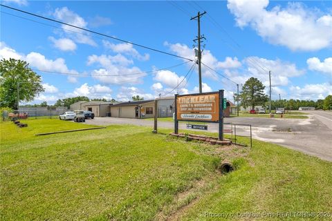 Tiny photo for 4659 Cabinet Shop Road, Rowland, NC 28383 (MLS # 744867)