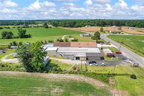 Tiny photo for 4659 Cabinet Shop Road, Rowland, NC 28383 (MLS # 744867)