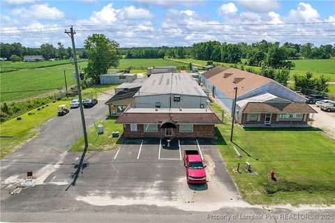 Tiny photo for 4659 Cabinet Shop Road, Rowland, NC 28383 (MLS # 744867)