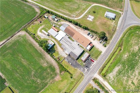 Tiny photo for 4659 Cabinet Shop Road, Rowland, NC 28383 (MLS # 744867)