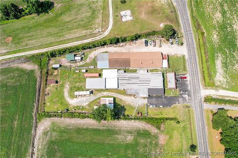 Tiny photo for 4659 Cabinet Shop Road, Rowland, NC 28383 (MLS # 744867)