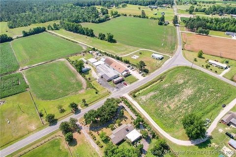 Tiny photo for 4659 Cabinet Shop Road, Rowland, NC 28383 (MLS # 744867)