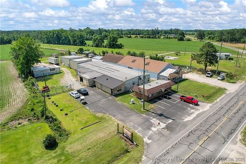 Tiny photo for 4659 Cabinet Shop Road, Rowland, NC 28383 (MLS # 744867)