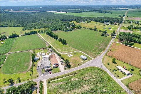 Tiny photo for 4659 Cabinet Shop Road, Rowland, NC 28383 (MLS # 744867)