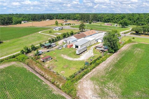 Tiny photo for 4659 Cabinet Shop Road, Rowland, NC 28383 (MLS # 744867)