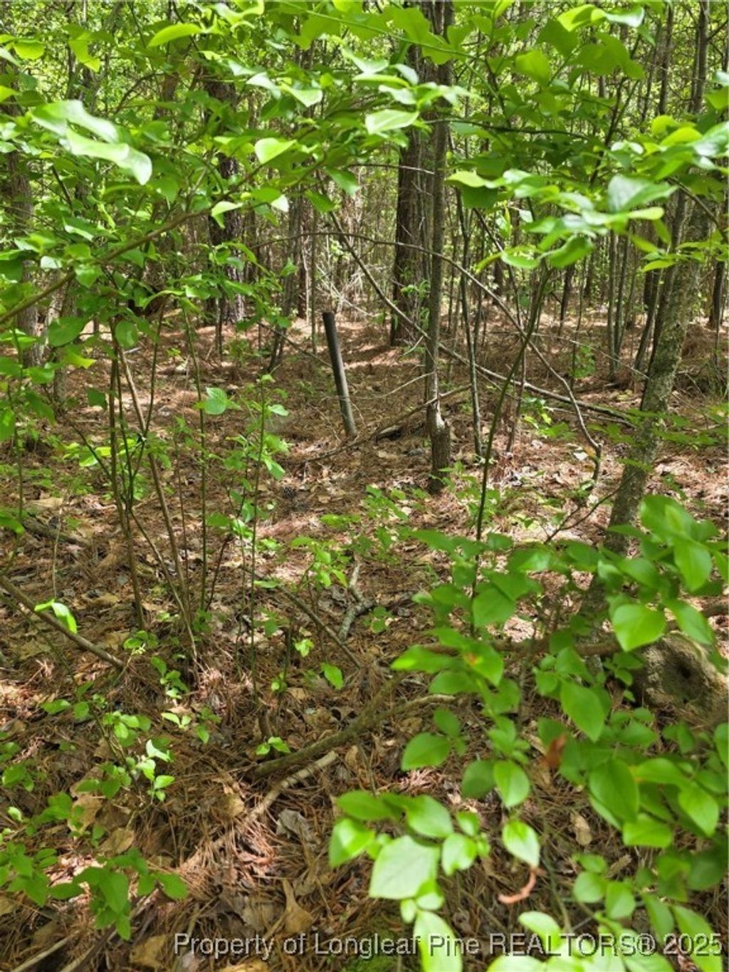 Photo of Fire Tower Lane, Raeford, NC 28376 (MLS # 742609)