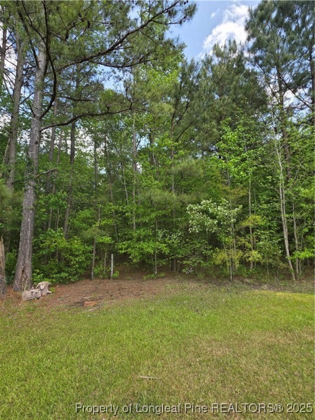 Photo of Fire Tower Lane, Raeford, NC 28376 (MLS # 742609)
