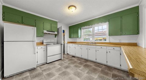 Tiny photo for 106 County Avenue, Dunn, NC 28334 (MLS # 760229)