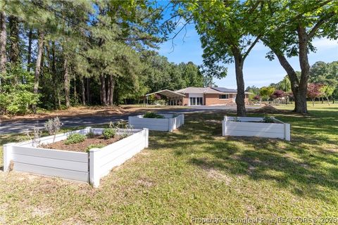 Tiny photo for 207 Cicero Beatty Road, Raeford, NC 28376 (MLS # 762487)