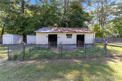 Tiny photo for 207 Cicero Beatty Road, Raeford, NC 28376 (MLS # 762487)