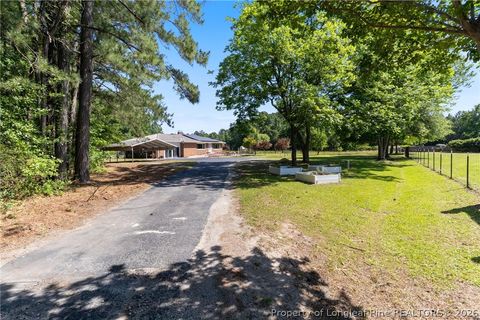 Tiny photo for 207 Cicero Beatty Road, Raeford, NC 28376 (MLS # 762487)