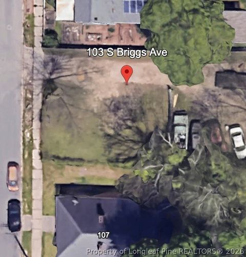 Photo of 103 S Briggs Avenue, Durham, NC 27703 (MLS # 762316)