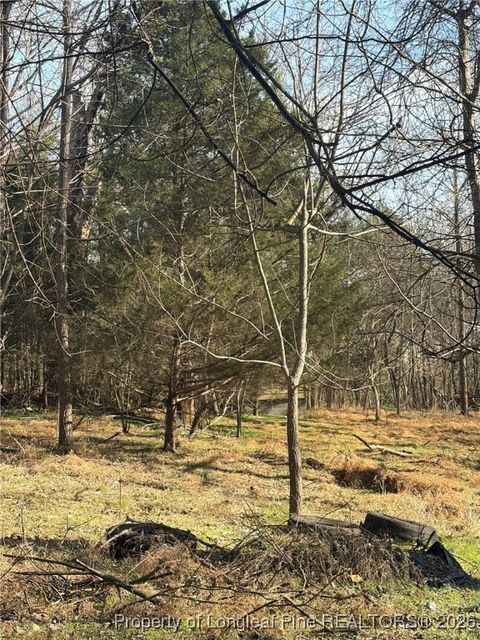 Tiny photo for 125 Masonic Street, Pittsboro, NC 27312 (MLS # 755253)