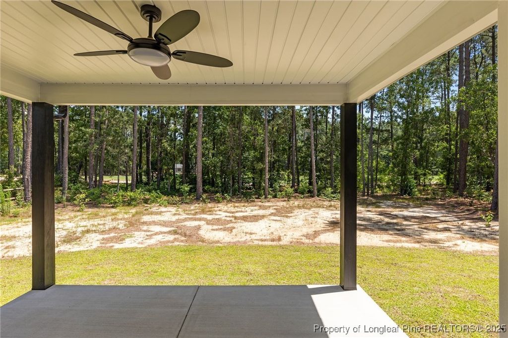 Photo of 15881 Wildlife Lane, Wagram, NC 28396 (MLS # 754804)