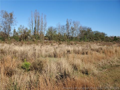 Tiny photo for 280, 300, 320, 340, Hidalgo Drive, Raeford, NC 28376 (MLS # 761144)