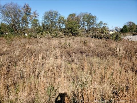 Tiny photo for 280, 300, 320, 340, Hidalgo Drive, Raeford, NC 28376 (MLS # 761144)