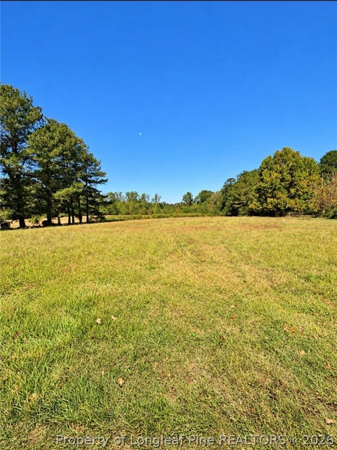 Photo of 1840 Martin Luther King Drive, Elizabethtown, NC 28337 (MLS # 770216)