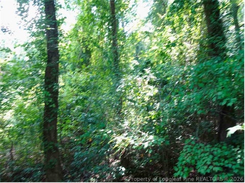 Photo of 000 Gilbert Road, Eastover, NC 28312 (MLS # 769636)