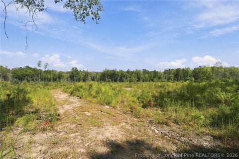 Photo of Hill Street, Raeford, NC 28376 (MLS # 770334)